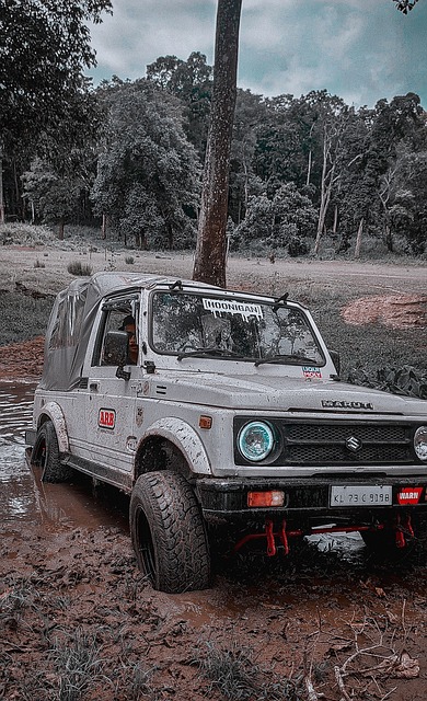 自己的實力 自己的實力