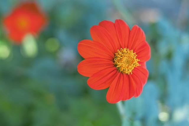 在轉換進攻 在轉換進攻