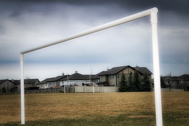 需要的是对 需要的是对