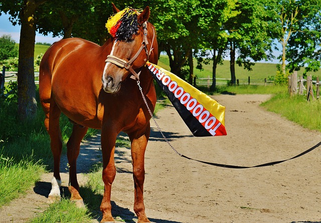 他们需要一 他们需要一