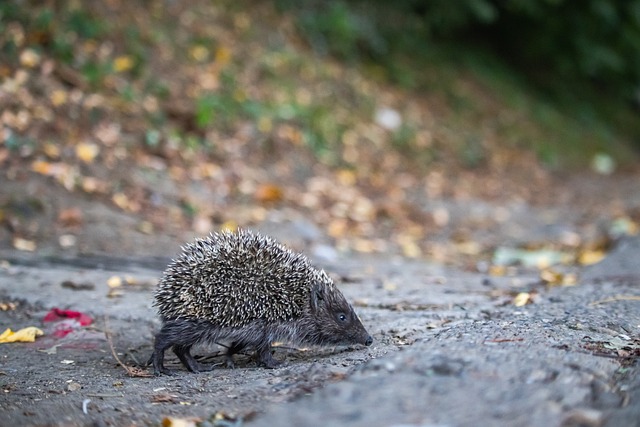 我们不妨回 我们不妨回