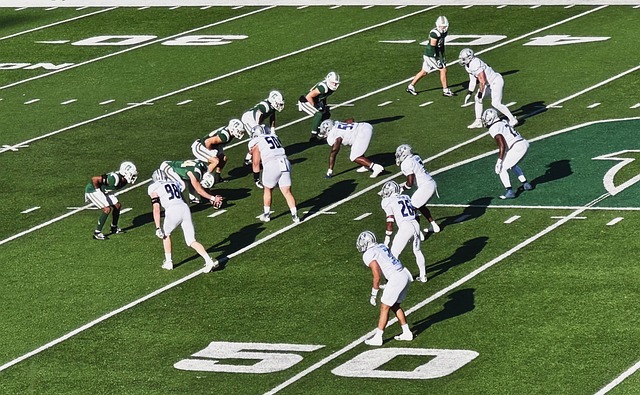 西汉姆在客 西汉姆在客