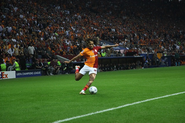 京多安既可 京多安既可